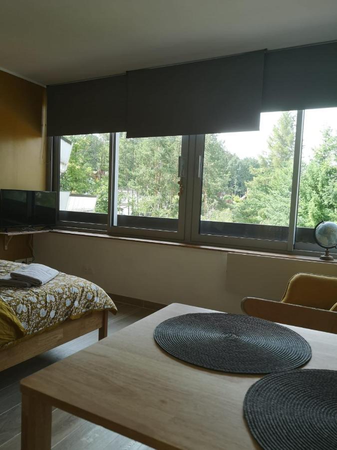 Le Petit Astro Parking Prive * Turckheim
